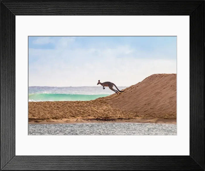Framed Print : Flying Kangaroo going to a surf beach