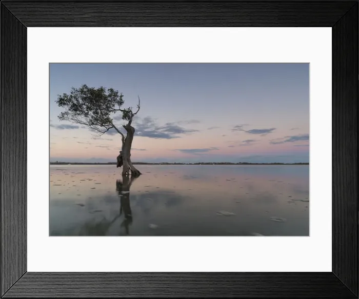 Framed Print : Pink sunset on the Sunshine Coast, Queensland Framed Print : Pink sunset on the Sunshine Coast, Queensland