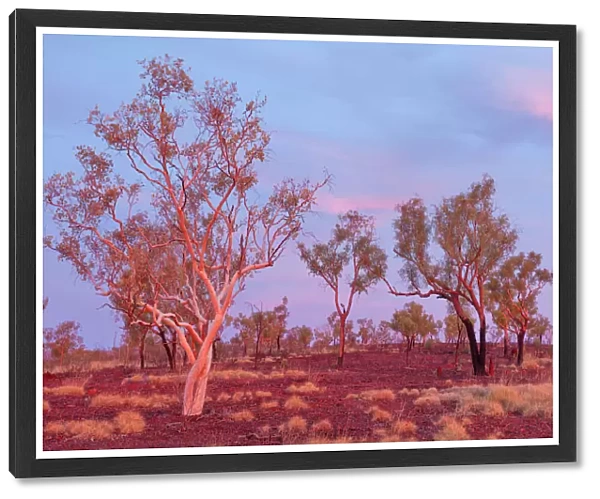Outback Australian Rural Sunset