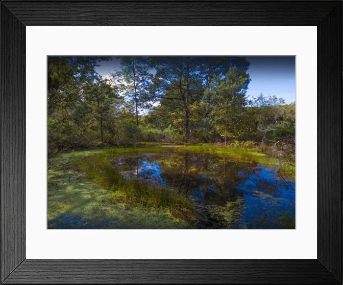 Framed Print : Natural pond, Cape Raoul, southern Tasmania Framed Print : Natural pond, Cape Raoul, southern Tasmania