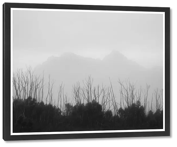 Procyon Peak and Mt Orion seen through the morning mist on the Cracroft Plains