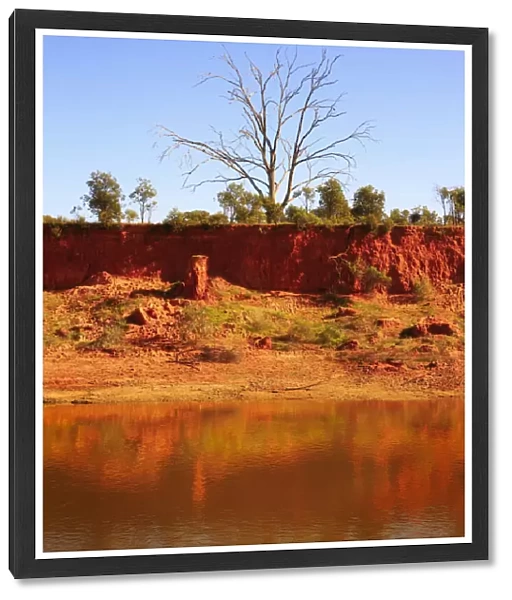 The Murrumbidgee River edge, Narrandera, New South Wales, Australia