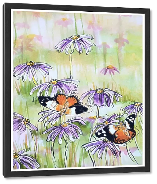 Monarch Butterflies Resting on Aster Asteraceae Daisies Watercolor Painting