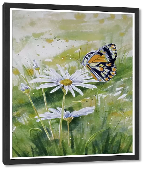 Butterfly Resting on a White Daisy Flower Watercolor Painting
