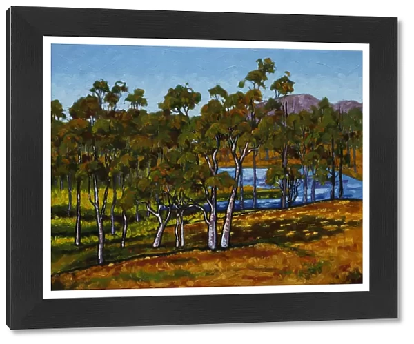 Dry Australian Countryside with Dam and Lush Grasses Oil Painting