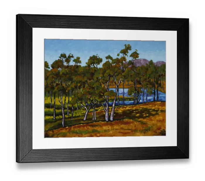 Framed Print : Dry Australian Countryside with Dam and Lush Grasses Oil Painting Framed Print : Dry Australian Countryside with Dam and Lush Grasses Oil Painting