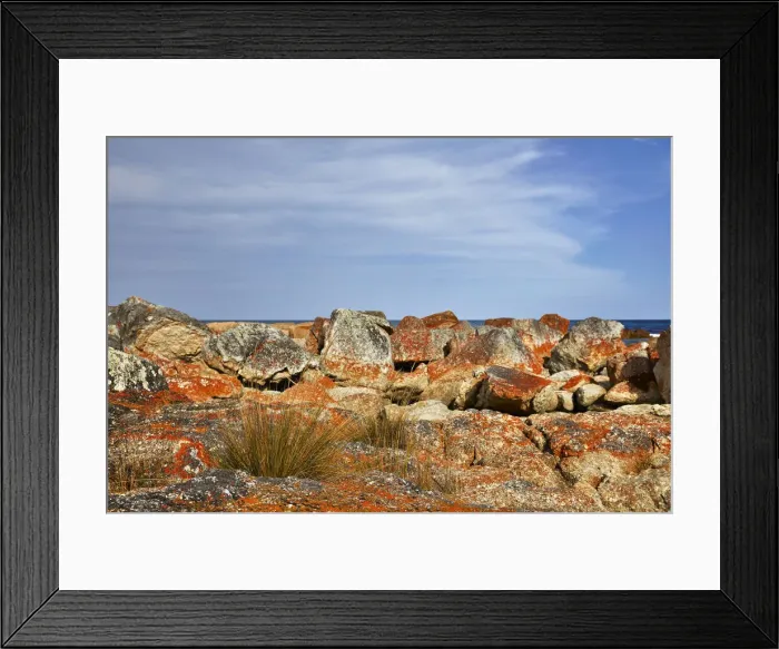 Framed Print : Colourful lichen on rocks by the coast