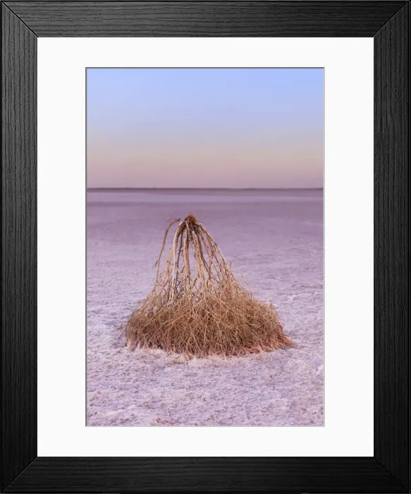 Framed Print : Pink Salt Lake Framed Print : Pink Salt Lake