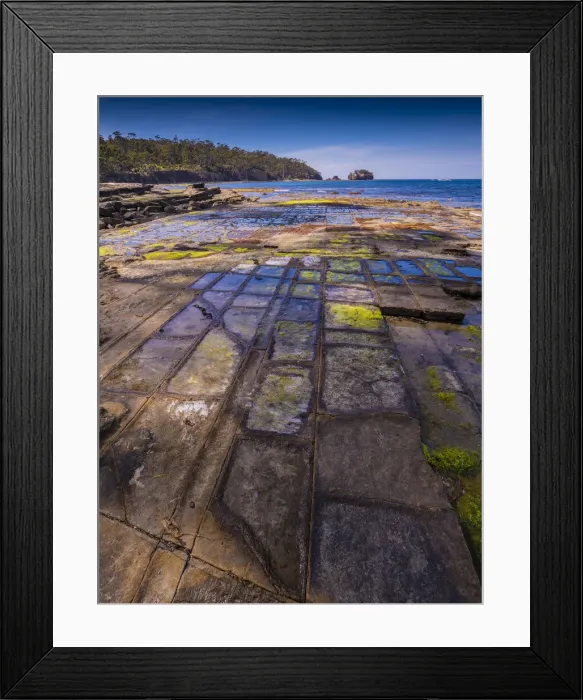 Framed Print : Tessalated pavement, Tasman Peninsula, southern Tasmania Framed Print : Tessalated pavement, Tasman Peninsula, southern Tasmania