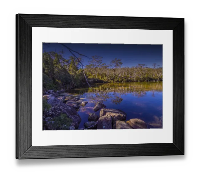 Framed Print : Pirates bay reflections of tress at the shoreline, southern Tasmania Framed Print : Pirates bay reflections of tress at the shoreline, southern Tasmania
