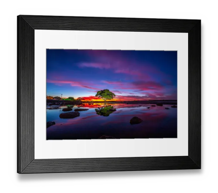 Framed Print : Brighton Tree