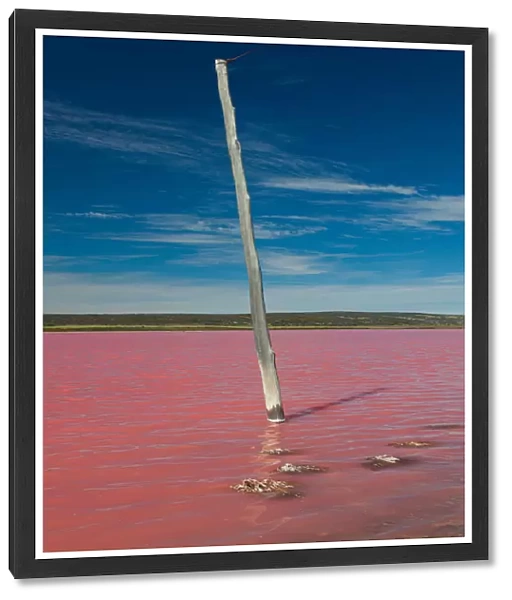 Pink Lake, Hutt Lagoon (Port Gregory - Western Australia)