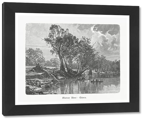 Murray River near Echuca in Australia, wood engraving, published 1897