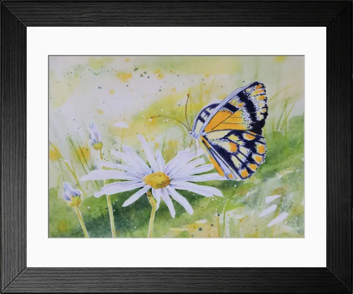 Framed Print : Detail of Butterfly Resting on a White Daisy Flower Watercolor Painting Framed Print : Detail of Butterfly Resting on a White Daisy Flower Watercolor Painting