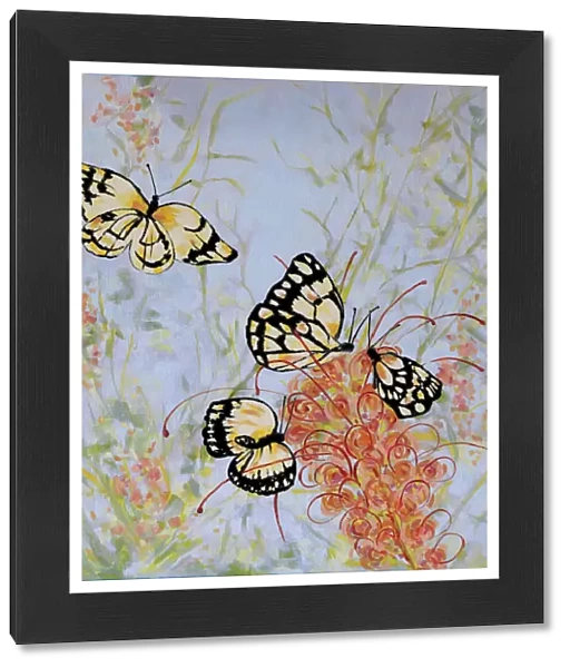 Caper White Butterflies on a Grevillea Flower Acrylic Painting