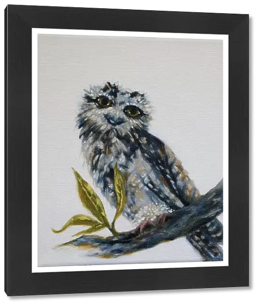 Australian Tawny Frogmouth Oil Painting