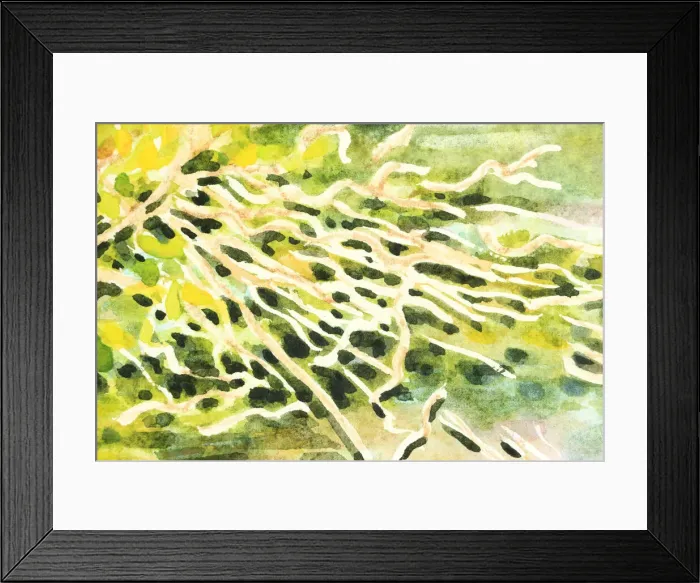 Framed Print : Detail of Illustration of Dusky Moorhen Nest Watercolour Painting Framed Print : Detail of Illustration of Dusky Moorhen Nest Watercolour Painting