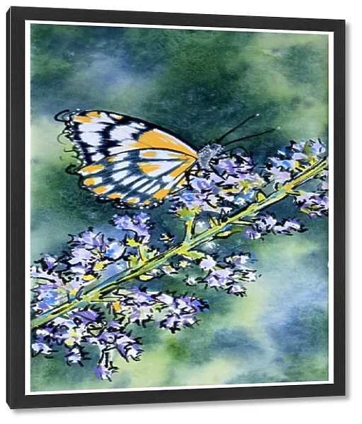Butterfly Resting on a Nepeta Flower Mixed Media Painting