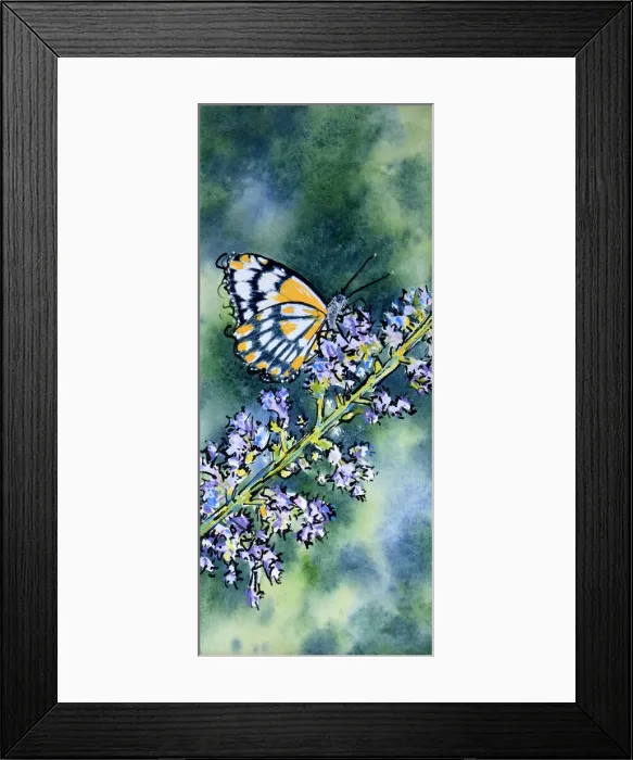 Framed Print : Butterfly Resting on a Nepeta Flower Mixed Media Painting
