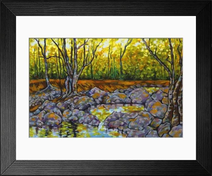 Framed Print : Oil Painting of River Rock Pools Trees and Dappled Sunlight