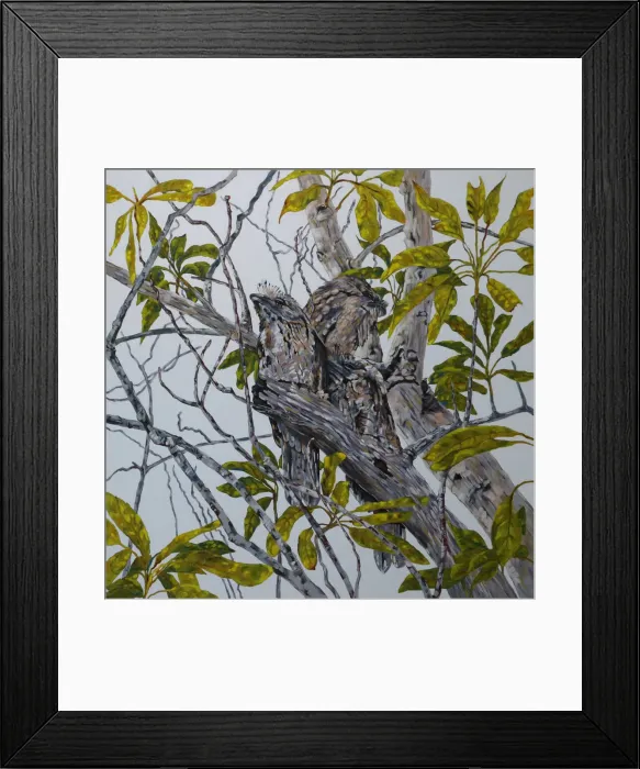 Framed Print : Tawny Frogmouth Family in an Avocado Tree Original Art Framed Print : Tawny Frogmouth Family in an Avocado Tree Original Art