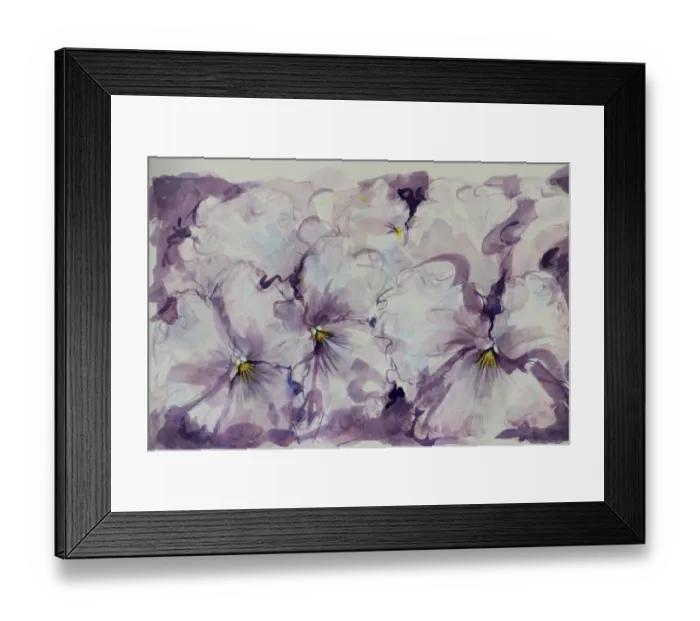 Framed Print : Pretty Mauve Pansies Watercolor Painting Framed Print : Pretty Mauve Pansies Watercolor Painting