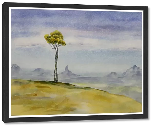 Tree on a Hill with Mountains in Distance at Maleny Watercolor