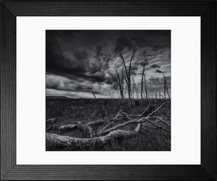 Framed Print : Winton Wetlands, Wangaratta district, Central Victoria Framed Print : Winton Wetlands, Wangaratta district, Central Victoria