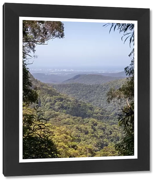 View of the Gold Coast skyline from high up in Springbrook National Park