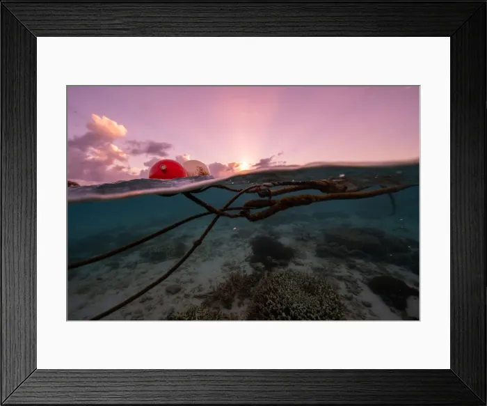 Framed Print : Ropes. Sunset ropes Framed Print : Ropes. Sunset ropes