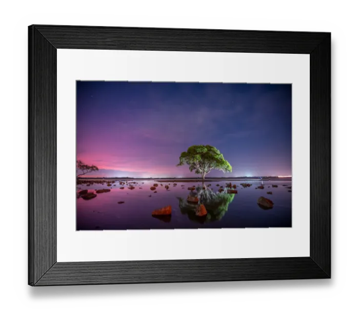 Framed Print : Tree Lights Framed Print : Tree Lights