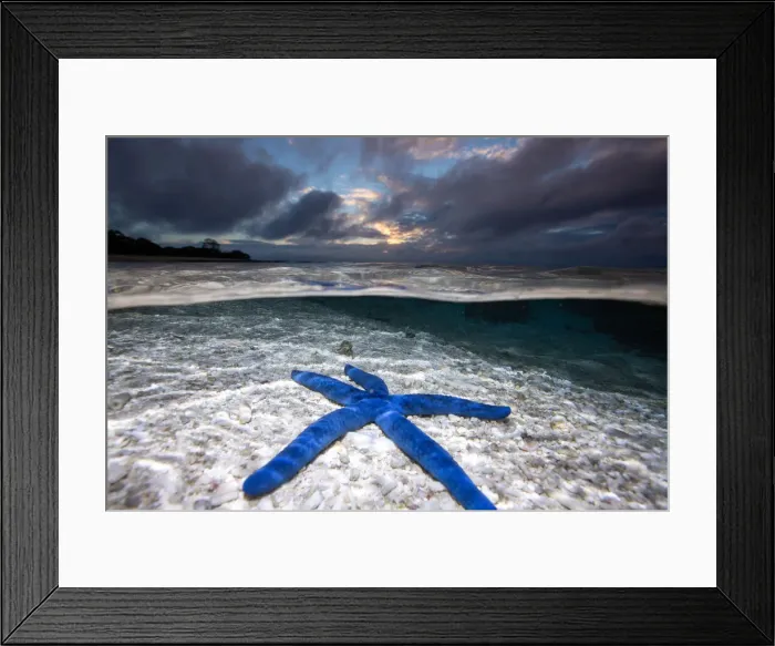 Framed Print : Starfish. Lagoon at sunrise