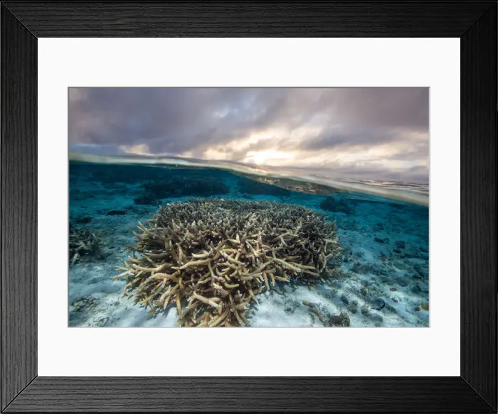 Framed Print : Split. Lagoon at sunrise