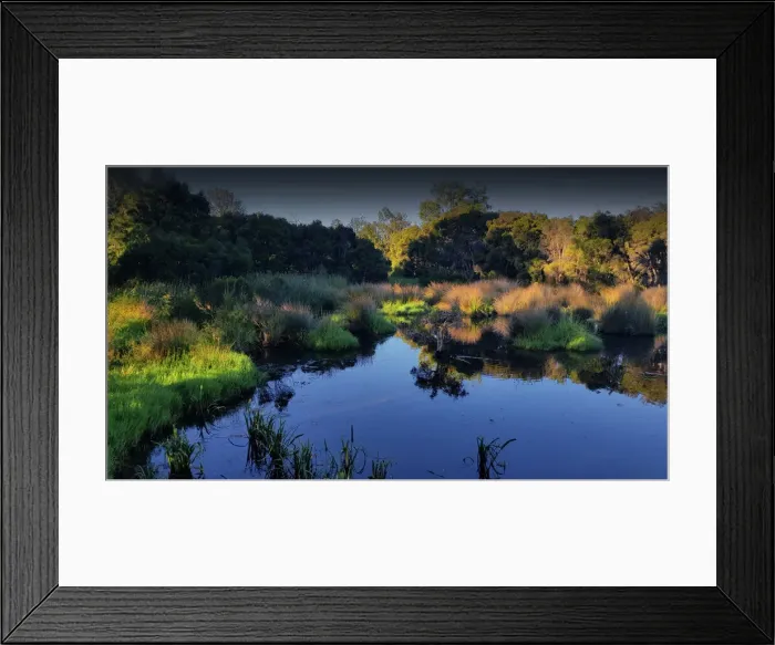 Framed Print : Hidden Grove pond, Victoria, Australia Framed Print : Hidden Grove pond, Victoria, Australia