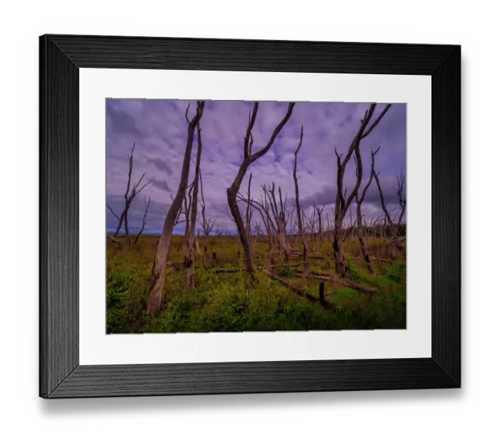 Framed Print : Winton Wetlands, Wangaratta district, Central Victoria Framed Print : Winton Wetlands, Wangaratta district, Central Victoria