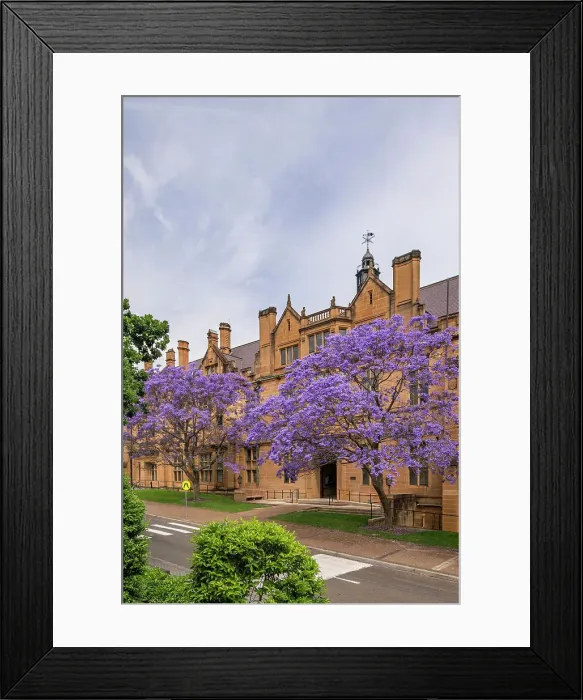 Framed Print : University of Sydney, Australia Framed Print : University of Sydney, Australia