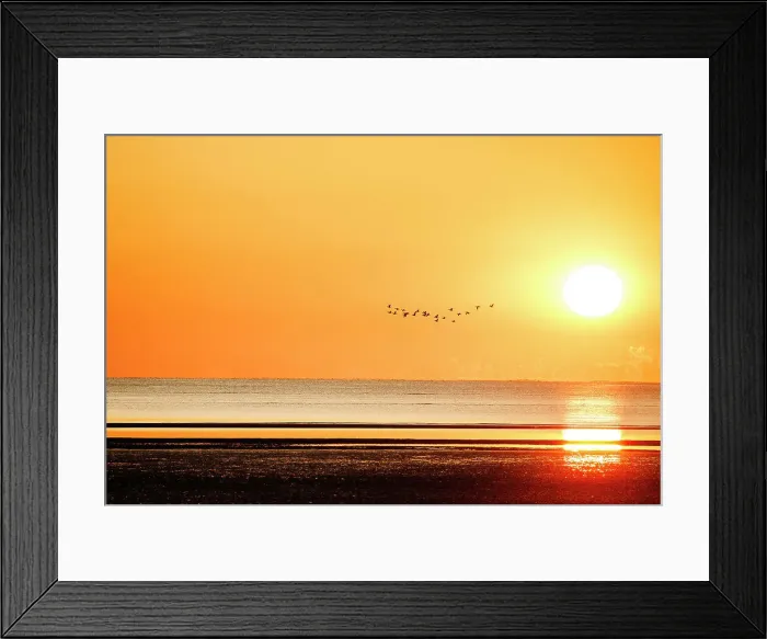 Framed Print : birds fly above the sea during sunrise Framed Print : birds fly above the sea during sunrise