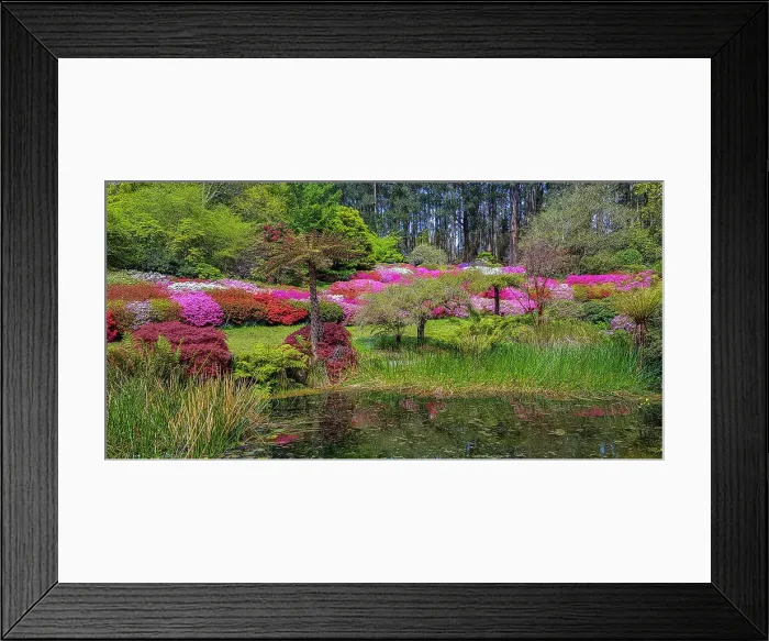 Framed Print : Dandenong ranges National Park, Victoria, Australia