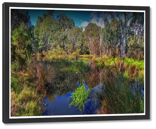 Braeside park, Mordialloc, Victoria, Australia