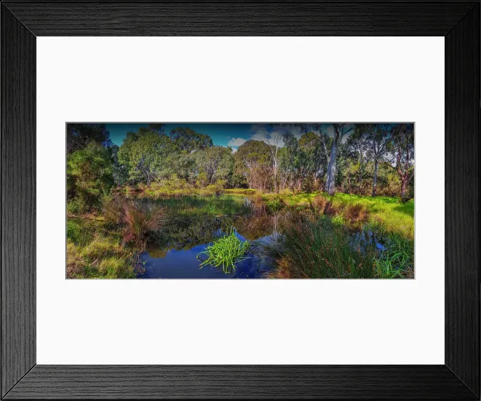 Framed Print : Braeside park, Mordialloc, Victoria, Australia Framed Print : Braeside park, Mordialloc, Victoria, Australia