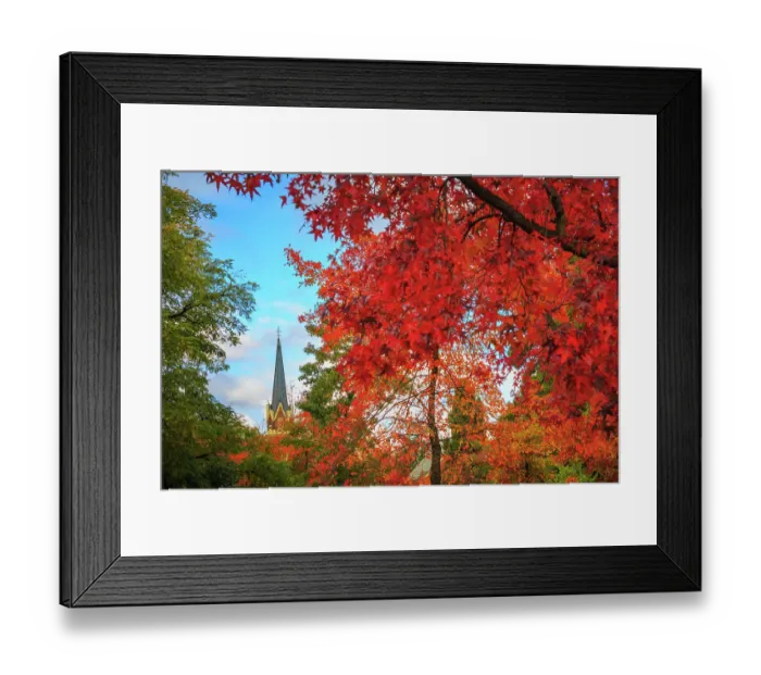 Framed Print : Autumn in Armidale Framed Print : Autumn in Armidale