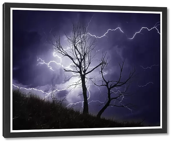 Thunderstorm over a dead tree