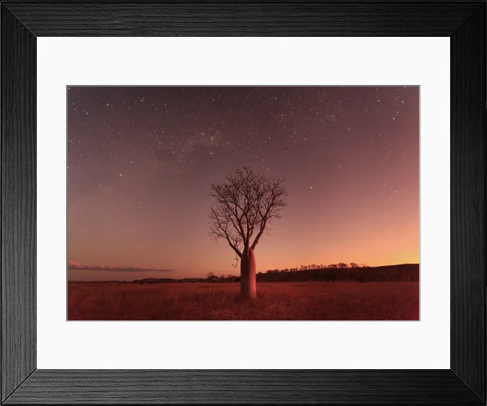 Framed Print : Milky Way and night sky over a Boab Tree. Parry Lagoons Nature Reserve. The Kimberley. Western Australia Framed Print : Milky Way and night sky over a Boab Tree. Parry Lagoons Nature Reserve. The Kimberley. Western Australia