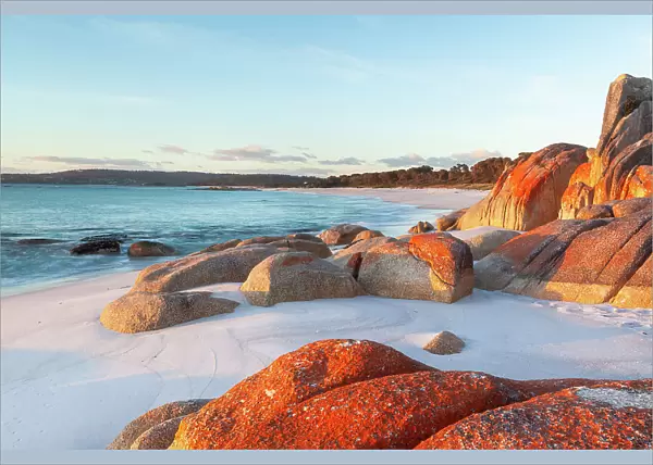 Lichen covered rocks on the beach. Bay of Fires. Binalong Bay. Tasmania. Australia