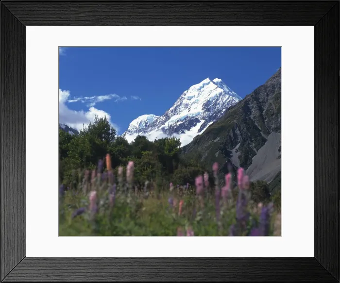 Framed Print : Mount Cook, New Zealand Framed Print : Mount Cook, New Zealand
