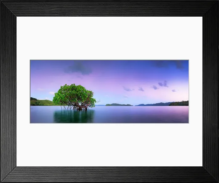 Framed Print : Purple Prospect