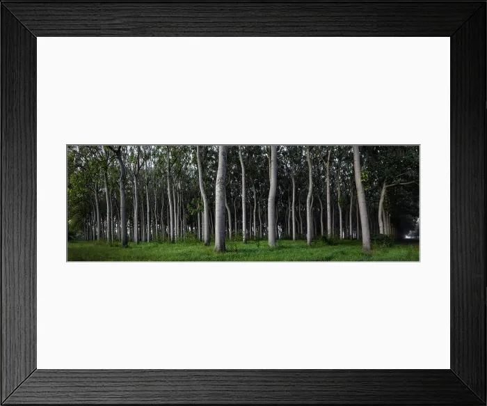 Framed Print : Grey Strangers Framed Print : Grey Strangers