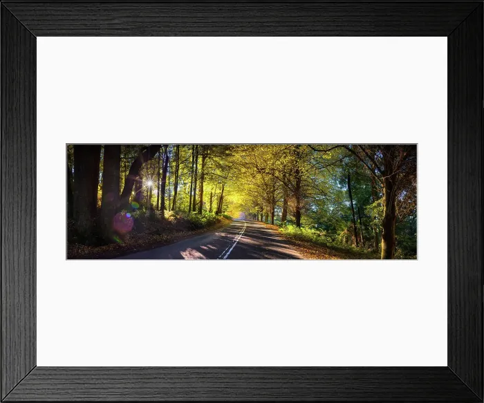 Framed Print : Mt Wilson. A streetscape from the very popular autumn location of Mt Wilson
