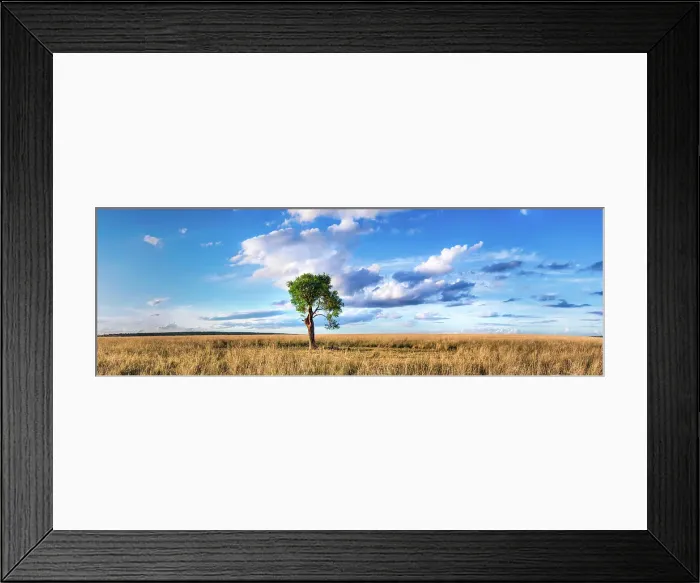 Framed Print : Lone Tree. A lone tree stands in a field full of wheat colored grass Framed Print : Lone Tree. A lone tree stands in a field full of wheat colored grass