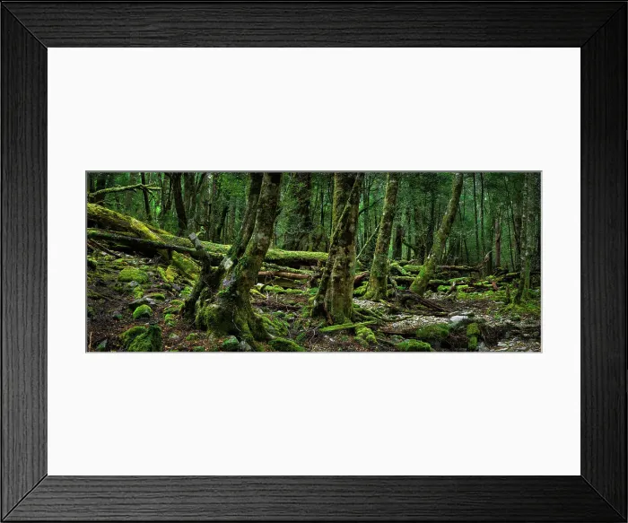 Framed Print : The Ballroom